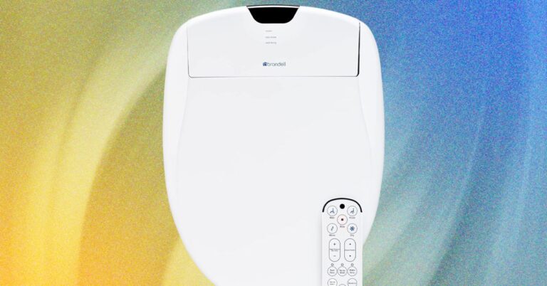 reviews, buying guide, Bidet Buying Guide: Top Models, Features, and Installation Tips, reviews