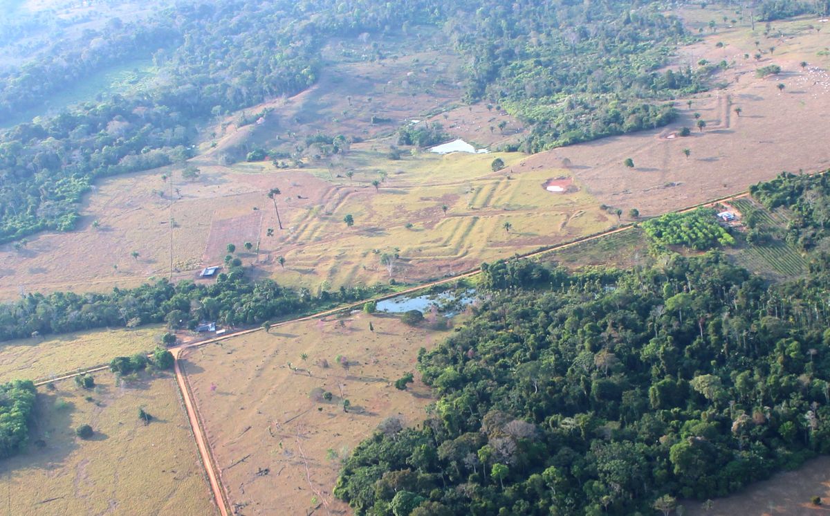 Mysterious Shapes Hidden Beneath the Amazon Canopy Reveal a…: The Surprising Story Behind It